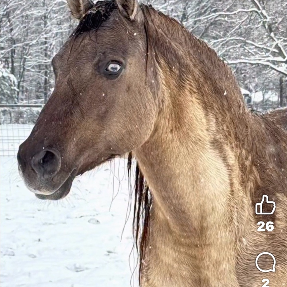 Spend over $10 and get a gift on me!!